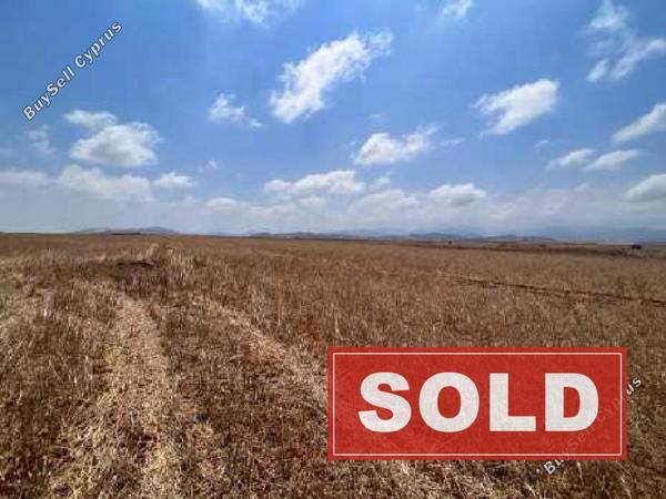 land sold peristerona lefkosias nicosia 1262889 image 6818779