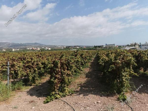 plot for sale coral bay paphos 1684889 image 4406885