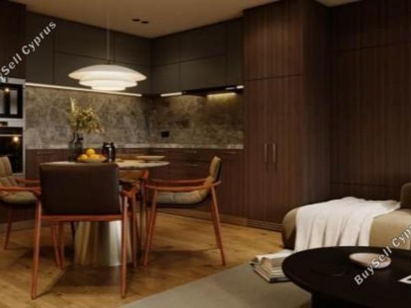 2 bedroom penthouse for sale livadia larnacas larnaca 8018989 image 12812118