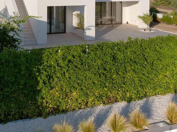 3 bedroom bungalow for sale coral bay paphos 7735989 image 10175547