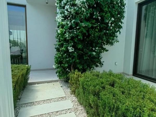 3 bedroom bungalow for sale coral bay paphos 7735989 image 10175553