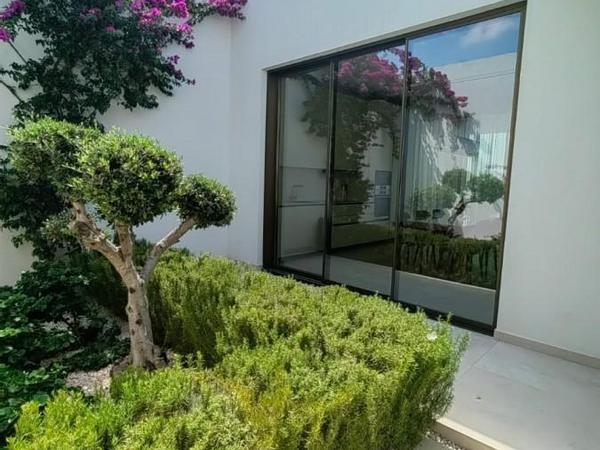 3 bedroom bungalow for sale coral bay paphos 7735989 image 10175554