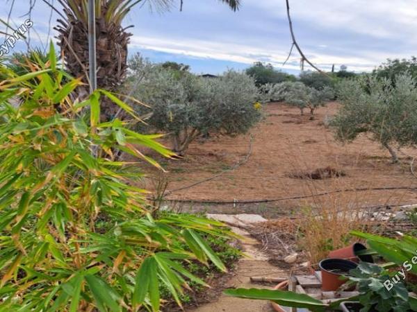 3 bedroom detached house for sale agioi trimithias nicosia 1262989 image 16240915
