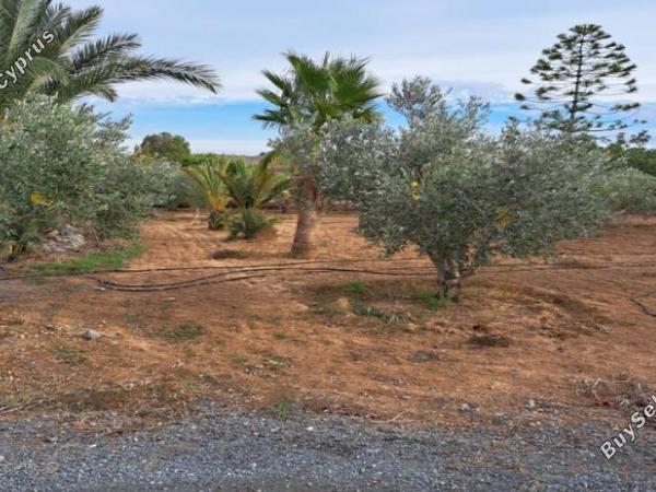 3 bedroom detached house for sale agioi trimithias nicosia 1262989 image 16240917