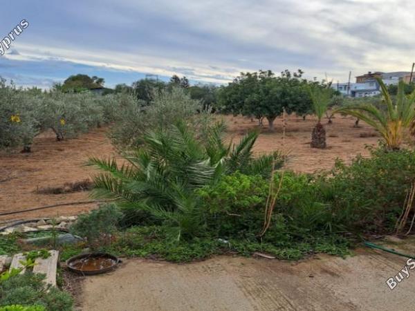 3 bedroom detached house for sale agioi trimithias nicosia 1262989 image 16240922