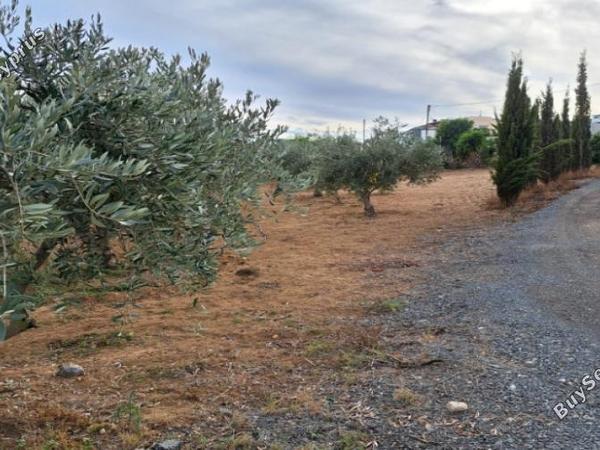 3 bedroom detached house for sale agioi trimithias nicosia 1262989 image 16240924