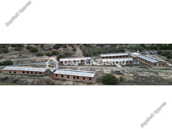 studio warehouse for rent agios theodoros larnacas larnaca 1580989 image 11489898