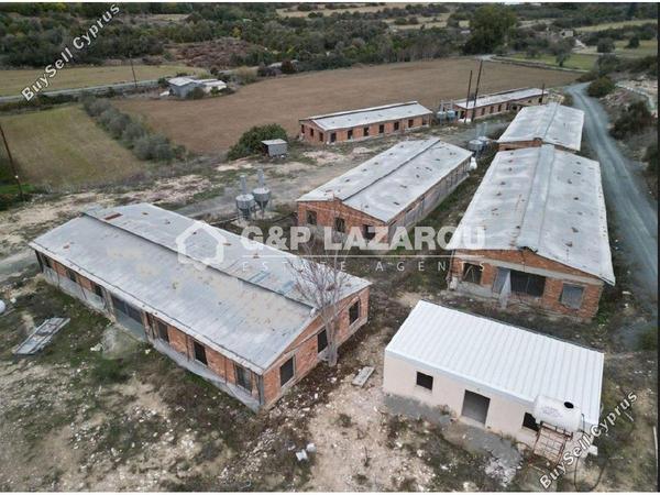 studio warehouse for rent agios theodoros larnacas larnaca 1580989 image 11489899