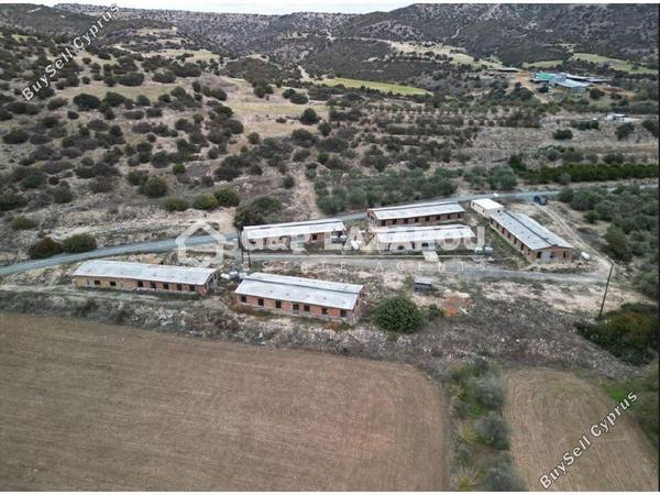 studio warehouse for rent agios theodoros larnacas larnaca 1580989 image 11489900