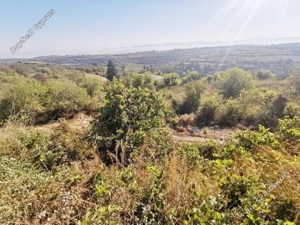land for sale kathikas paphos 1154099 image 1594595