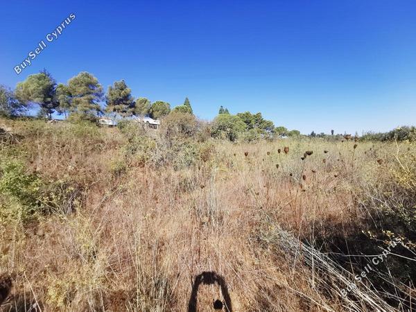 land for sale kathikas paphos 1154099 image 1594599