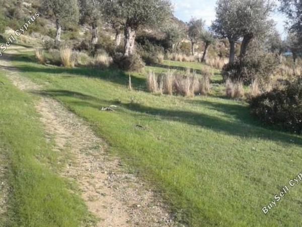 land for sale pissouri limassol 1547099 image 14472359