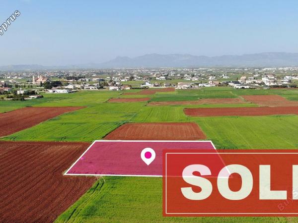 land sold agioi trimithias nicosia 1057099 image 2843410