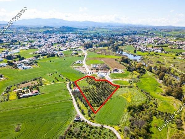 plot for sale dali nicosia 1195099 image 5575536