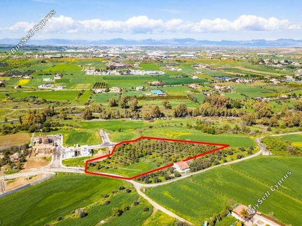 plot for sale dali nicosia 1195099 image 5575539