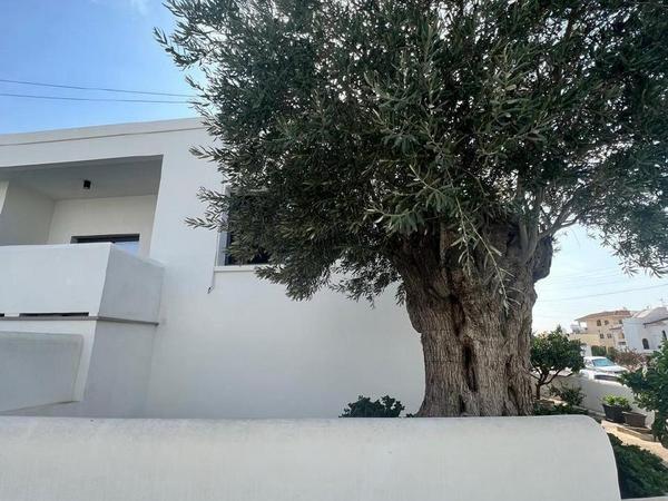 studio office for rent tsirion limassol 1892099 image 17255386