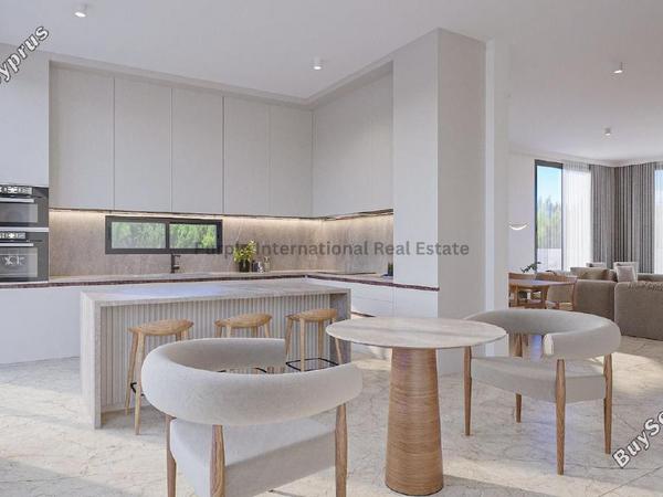 3 bedroom detached house for sale mesogi paphos 7546199 image 16655010