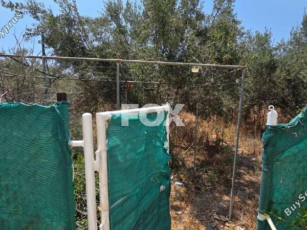 4 bedroom detached house for rent moni limassol 8936199 image 17736895