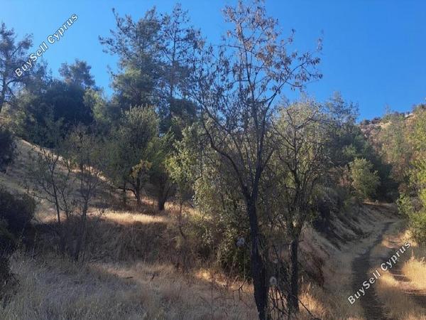 land for sale agios georgios kafkallou nicosia 1674199 image 15596842