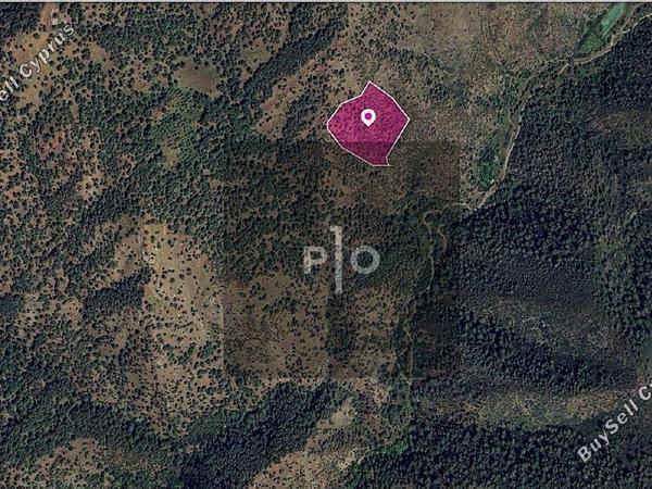 land for sale pigenia nicosia 8275299 image 15159008