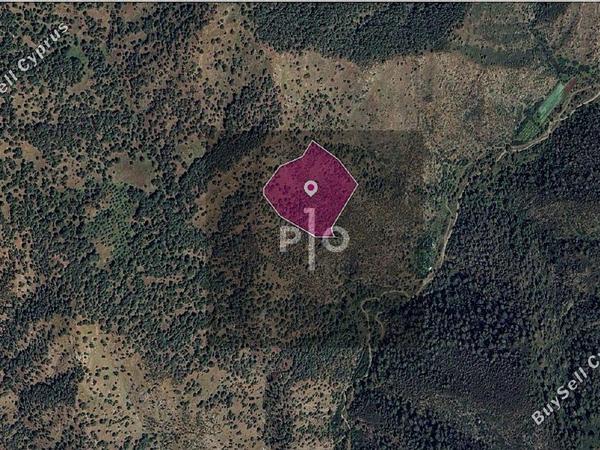 land for sale pigenia nicosia 8275299 image 15159009