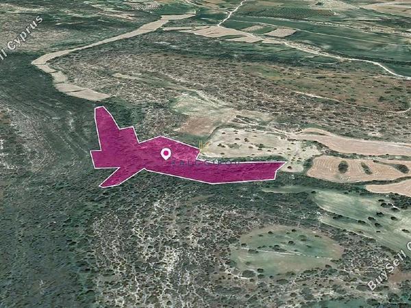 land for sale agios theodoros larnacas larnaca 1650399 image 5669381