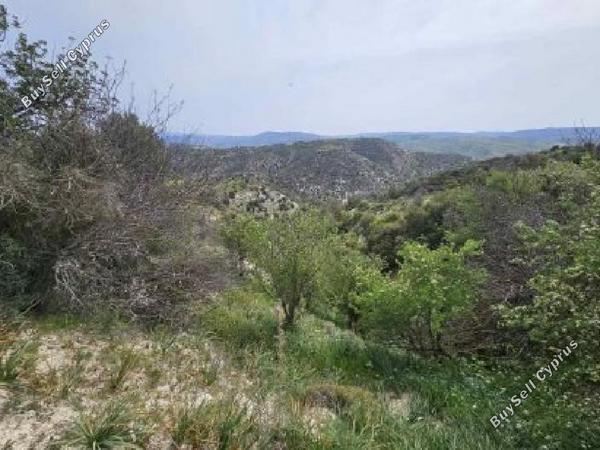 land for sale eledio paphos 8629399 image 15868180