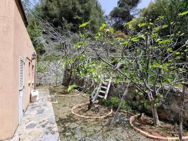 3 bedroom detached house for sale kato platres limassol 7736499 image 14508800