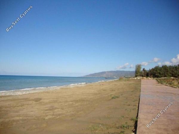4 bedroom detached house for rent baths of aphrodite paphos 8693499 image 16182565