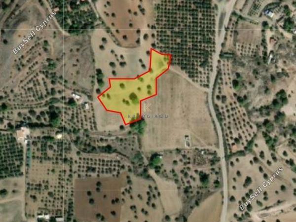 land for sale anglisides larnaca 8060499 image 12986975