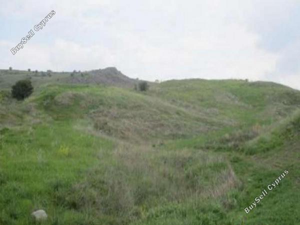 land for sale choletria paphos 8630499 image 15873555