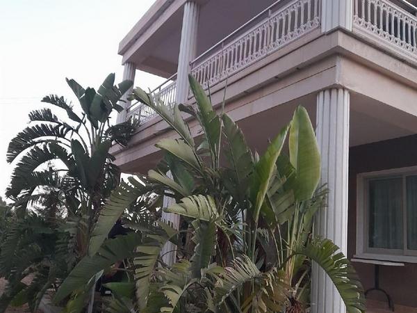 3 bedroom detached house for sale maroni larnaca 1547599 image 13430002