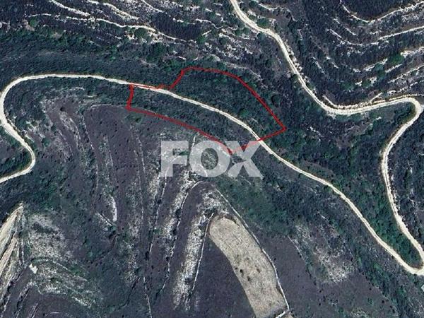 land for sale kissousa limassol 1896599 image 7203797