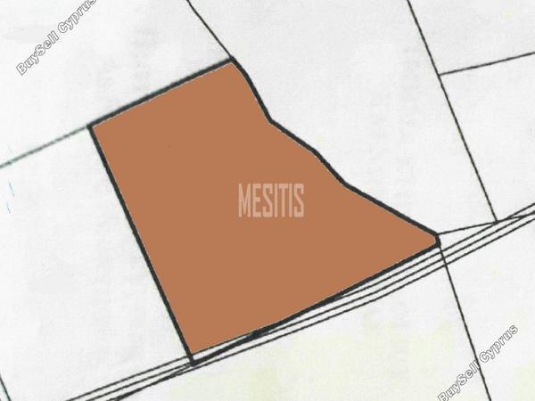 land for sale kolossi limassol 1007599 image 11042500