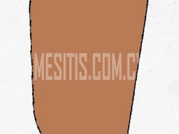plot for sale pera orinis nicosia 976599 image 10562201