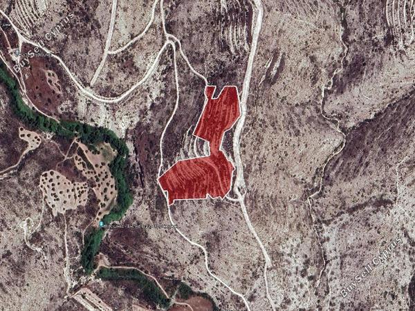 land for sale kato drys larnaca 8726699 image 16333453