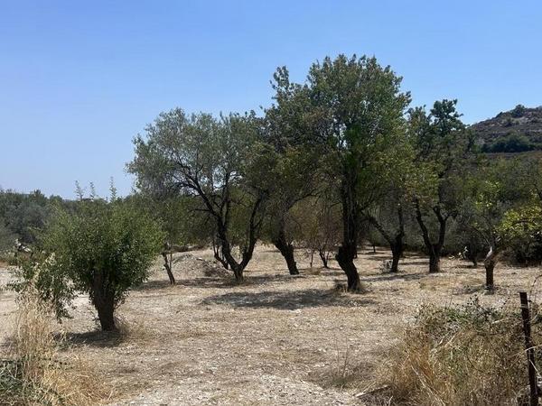 land for sale silikou limassol 1545699 image 5865111
