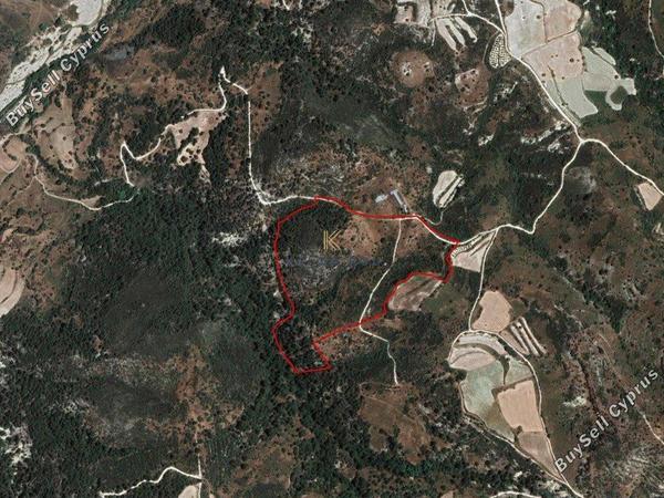 land for sale dora limassol 1194799 image 5570721