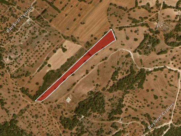 land for sale neo chorio paphos 945799 image 15600321