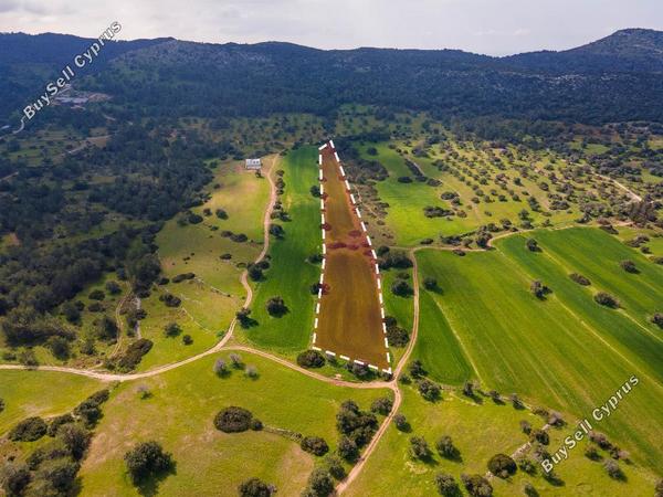 land for sale neo chorio paphos 945799 image 15600324