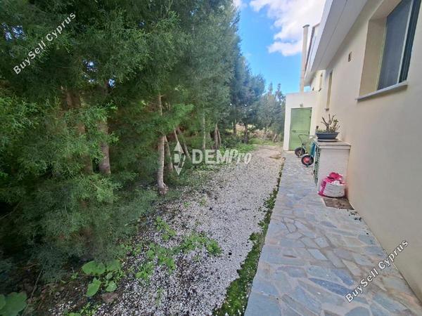 3 bedroom detached house for rent drousia paphos 8306899 image 16650718