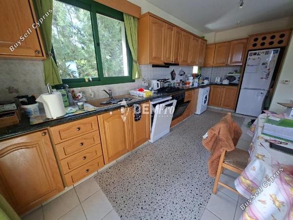 3 bedroom detached house for rent drousia paphos 8306899 image 16650740