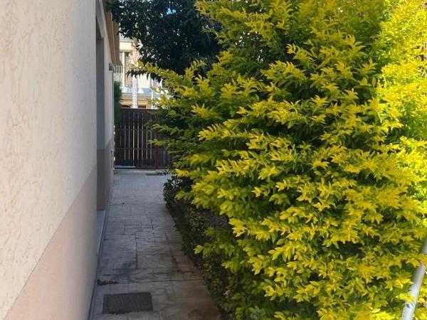4 bedroom detached house for sale mouttagiaka limassol 1935899 image 14999003