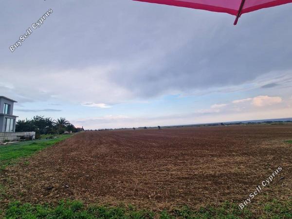 land for sale alaminos larnaca 1449899 image 4941941