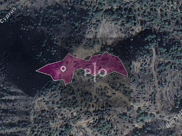 land for sale kaminaria limassol 8274899 image 15156210