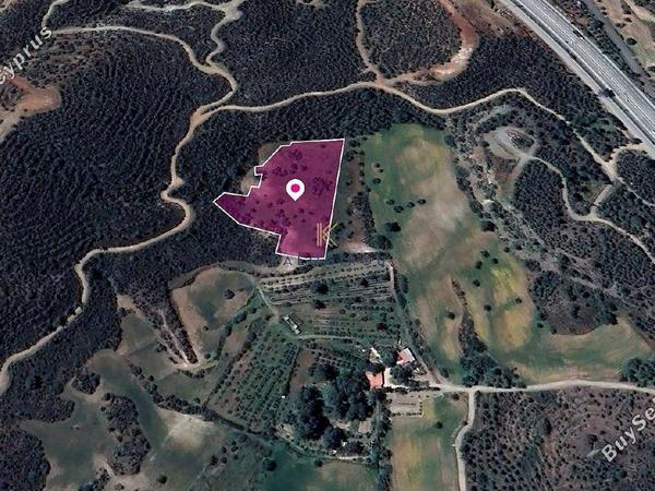 land for sale kofinou larnaca 1649899 image 5662097