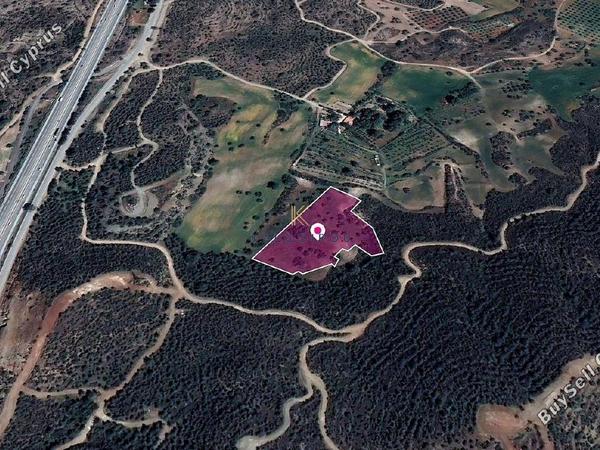 land for sale kofinou larnaca 1649899 image 5662105