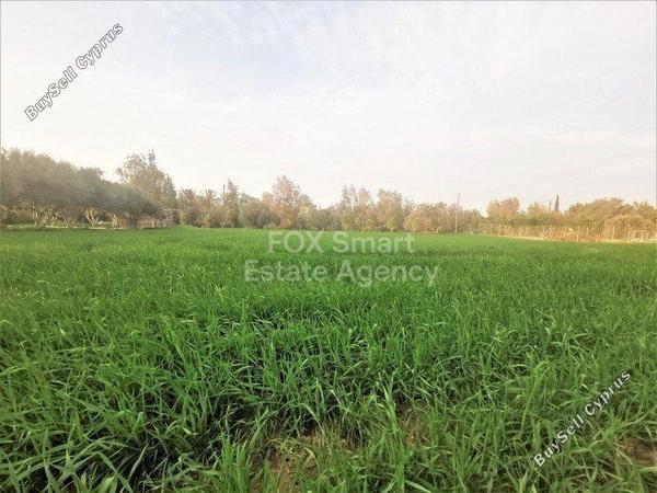 plot for sale dali nicosia 1152899 image 5163439