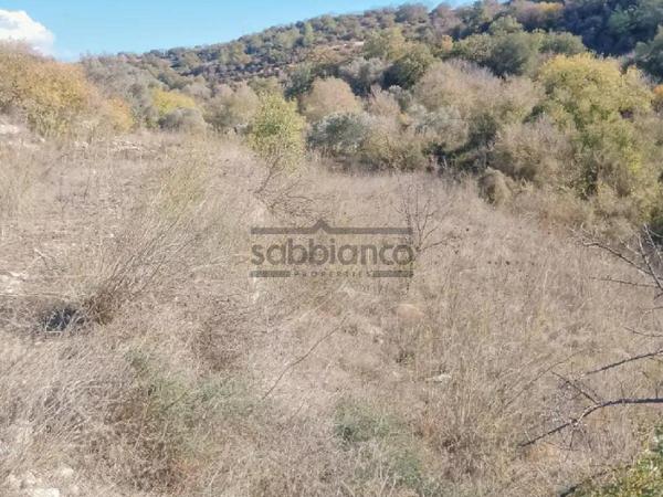 plot for sale simou paphos 8748899 image 16469701