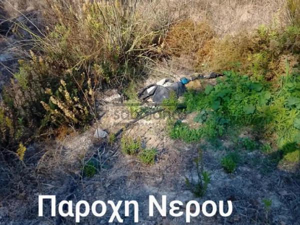 plot for sale simou paphos 8748899 image 16469703